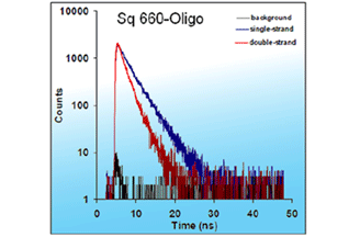 Intensity decays of Square-660-oligo before and after binding to complementary oligonucleotide